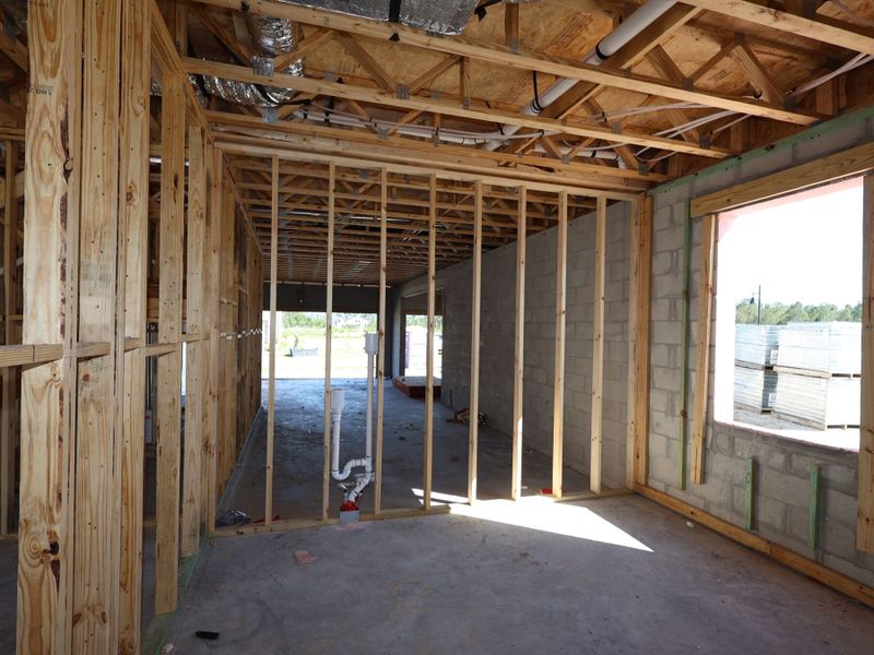 Framing Framing