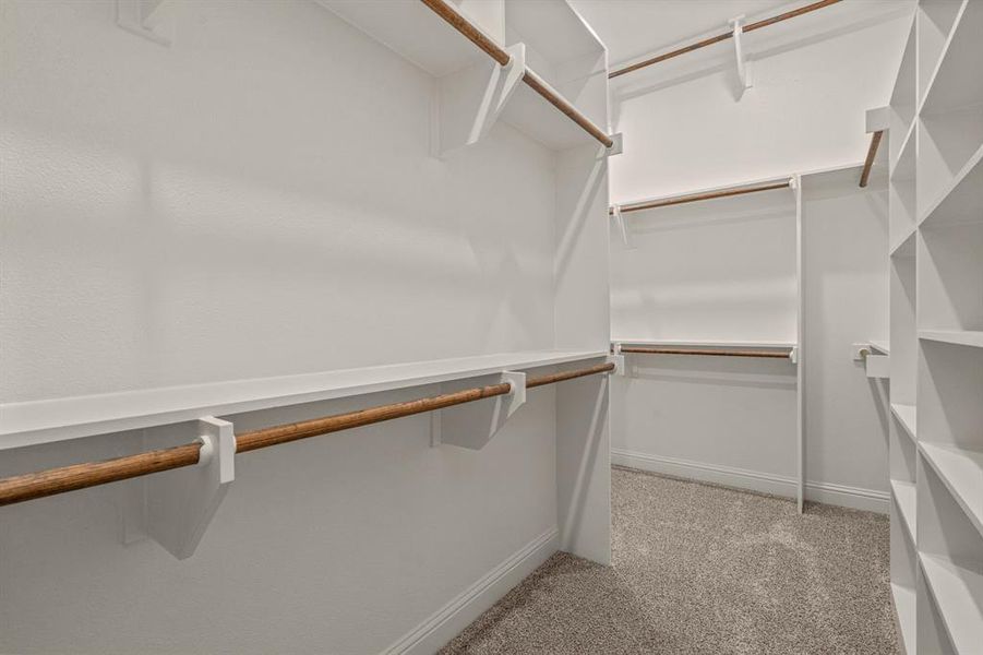 Walk in closet featuring light colored carpet