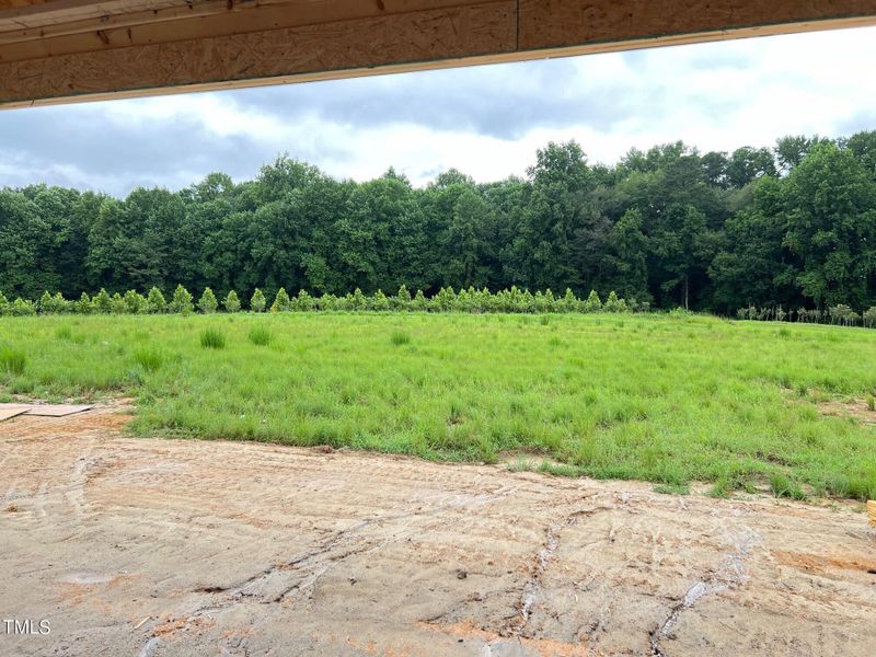 View from Covered Patio