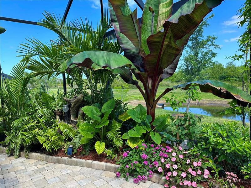 Natural landscape and outdoor views near  in Englewood (Image 37).