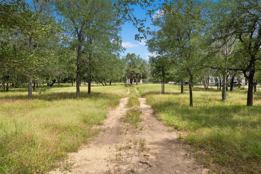 Natural landscape and outdoor views near  in Luling (Image 21).