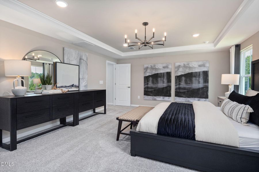 PO Murray Model (24)