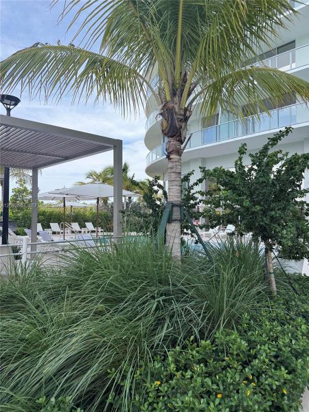 Community amenities in , North Miami (Image 30). Community amenities in , North Miami (Image 30).