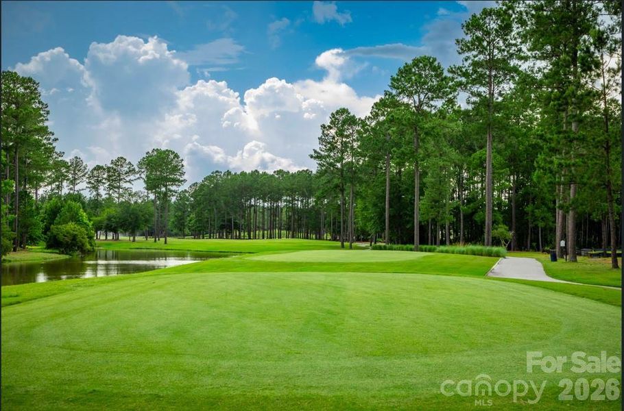 Area Photo - Golf lovers enjoy nearby courses like Lexington Golf Club and Sapona, just minutes away