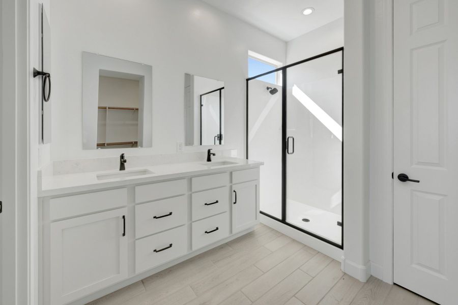 Owner's Bath