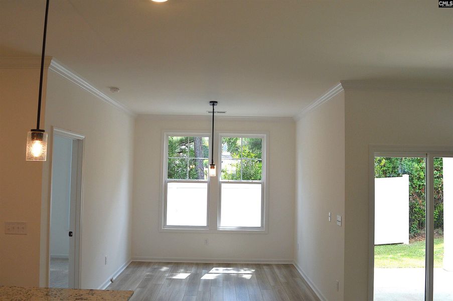 Spacious, unfurnished interior of a new home in Bickley Station, Irmo (Image 32).