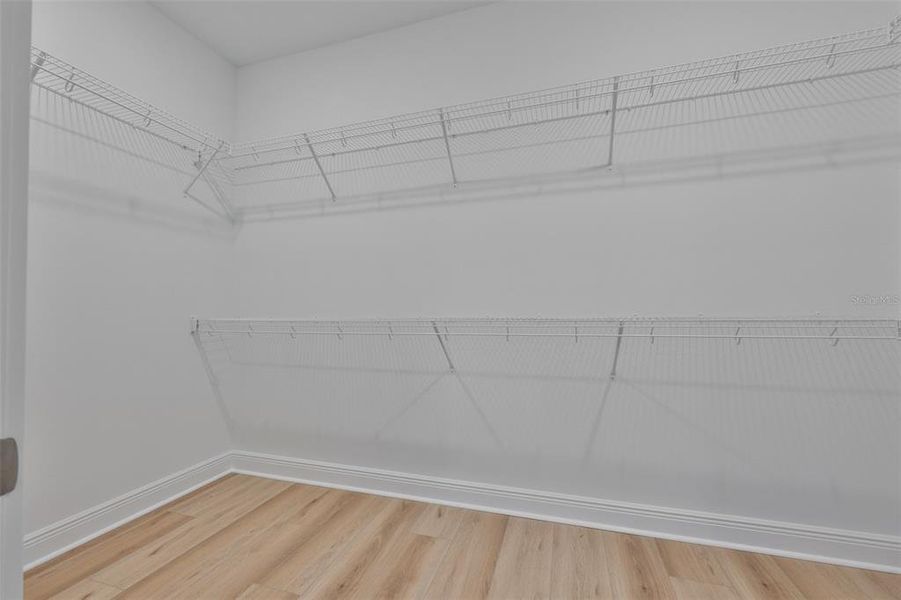 Spacious, unfurnished interior of a new home in , Tampa (Image 22).