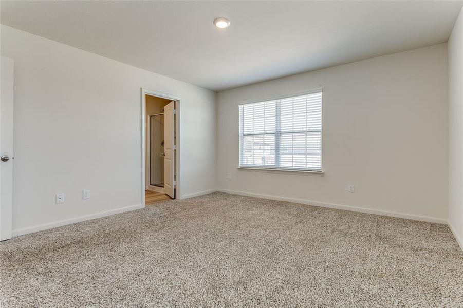 Unfurnished room featuring carpet