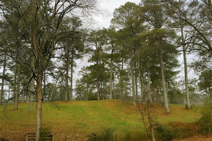 Natural landscape and outdoor views near  in Marietta (Image 31).