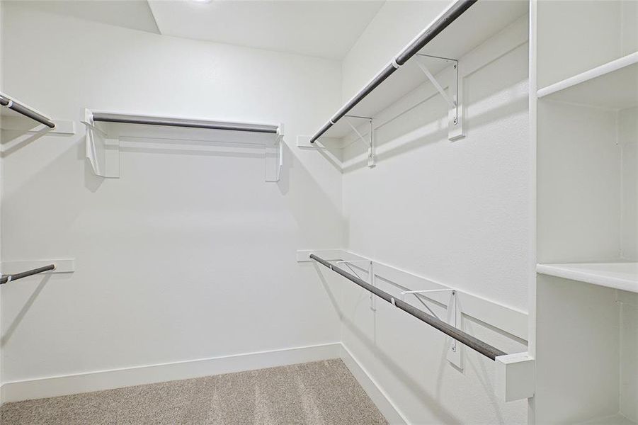 Spacious closet featuring carpet floors