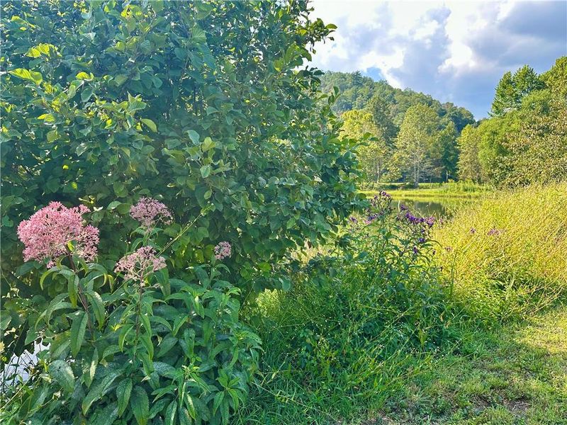 Natural landscape and outdoor views near in Clarkesville (Image 9). Natural landscape and outdoor views near in Clarkesville (Image 9).