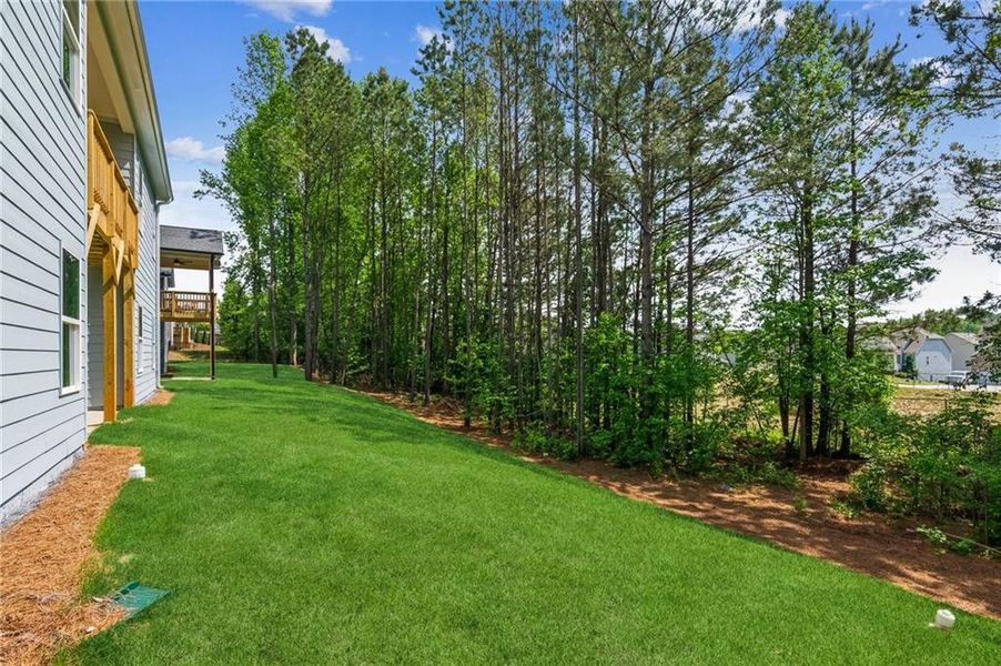 Exterior details and patio area of a home in Traditions of Braselton, Jefferson (Image 18).