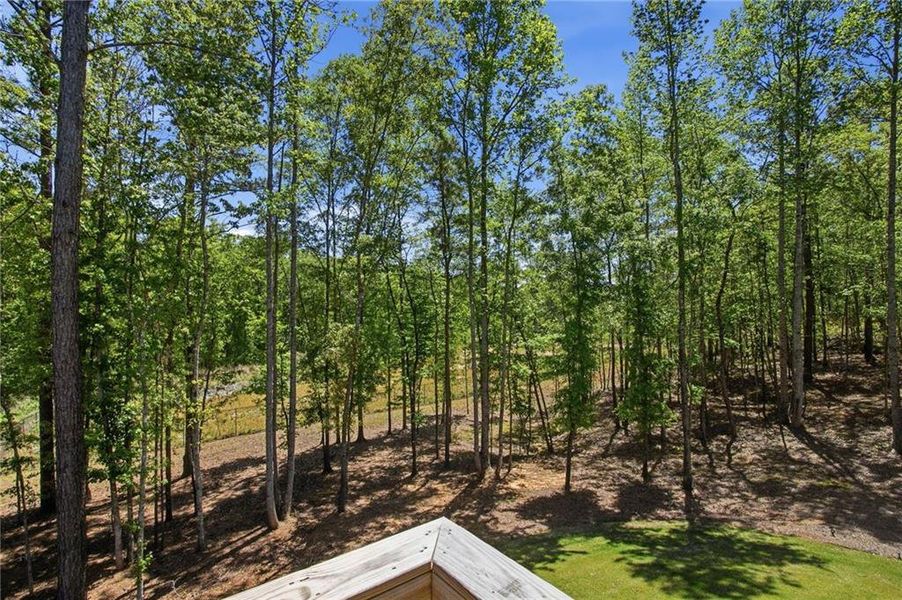 Natural landscape and outdoor views near  in Newnan (Image 80).
