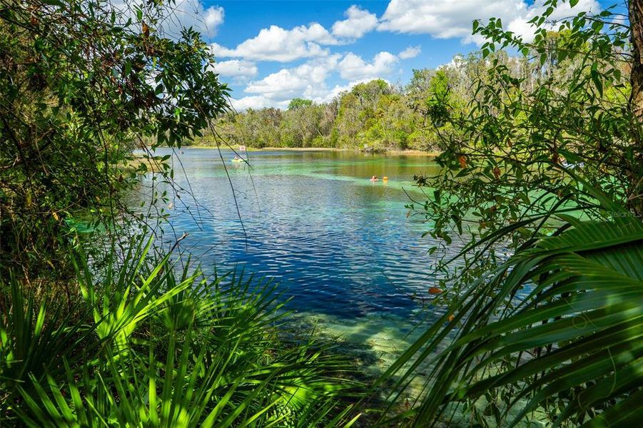 Natural landscape and outdoor views near Grand Park North in Dunnellon (Image 81).