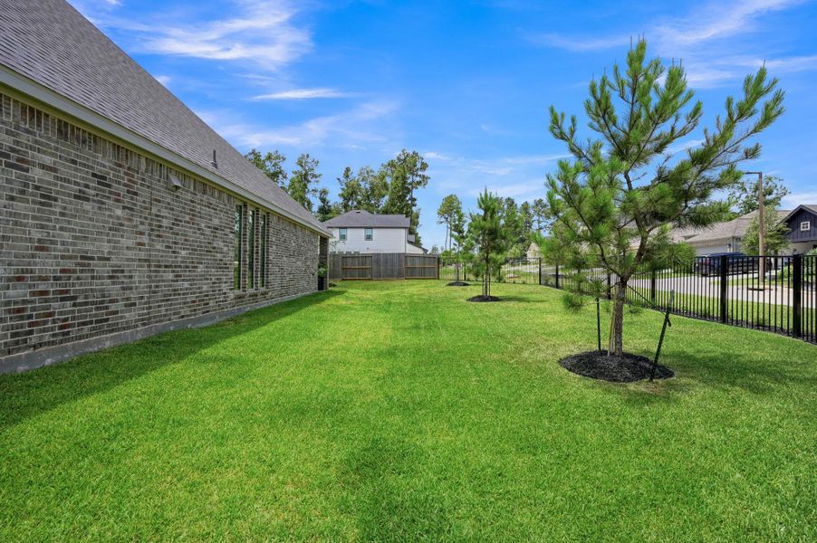 Side Yard