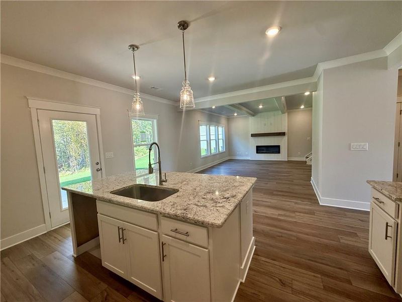 Furnished interior view inside a new home in Fowler Farms, Auburn (Image 10).