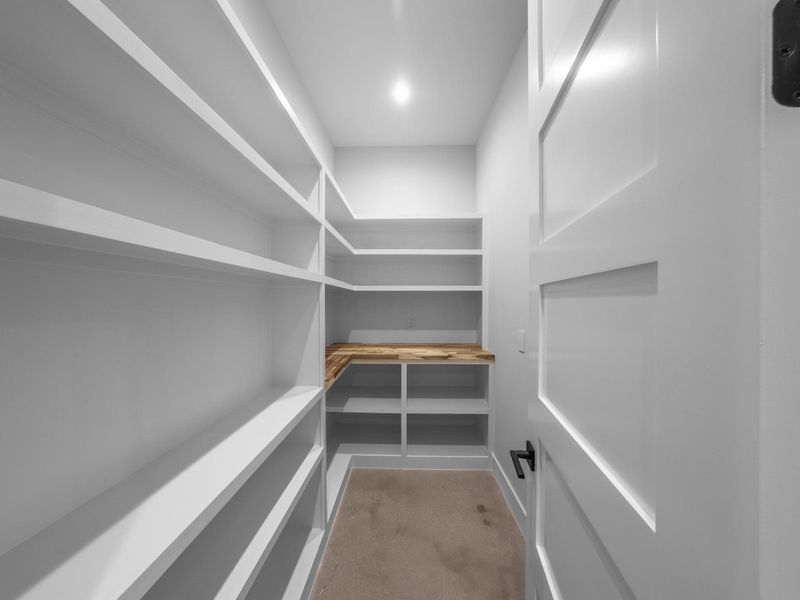 Large Pantry with plenty of storage and butcher block counter!