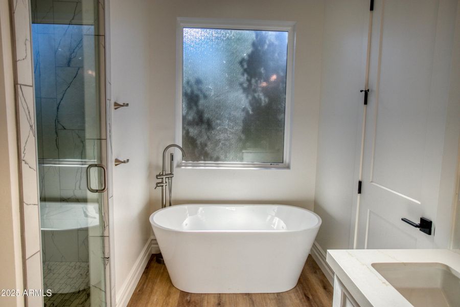 PaxmanPh_IMG_9575 PaxmanPh_IMG_9575