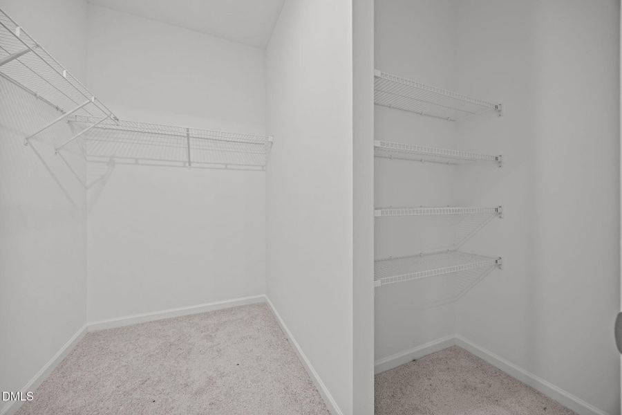 23-web-or-mls-6S8A4033