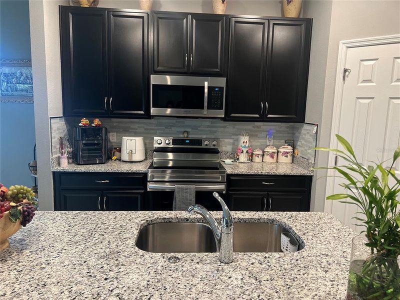 Kitchen Stove and Sink area