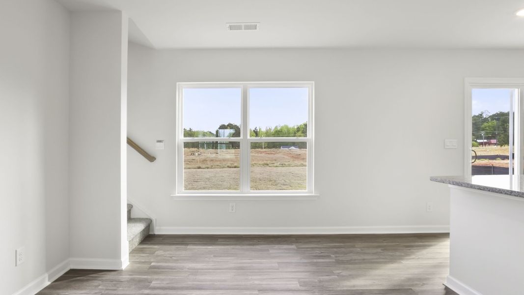 Spacious, unfurnished interior of a new home in Gibson Grove, Laurens (Image 19).