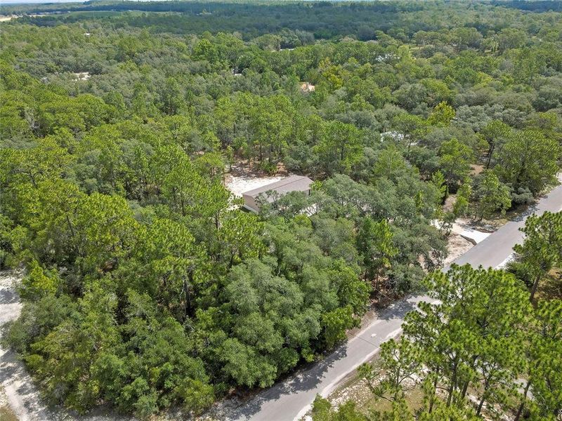 Natural landscape and outdoor views near  in Homosassa (Image 50).