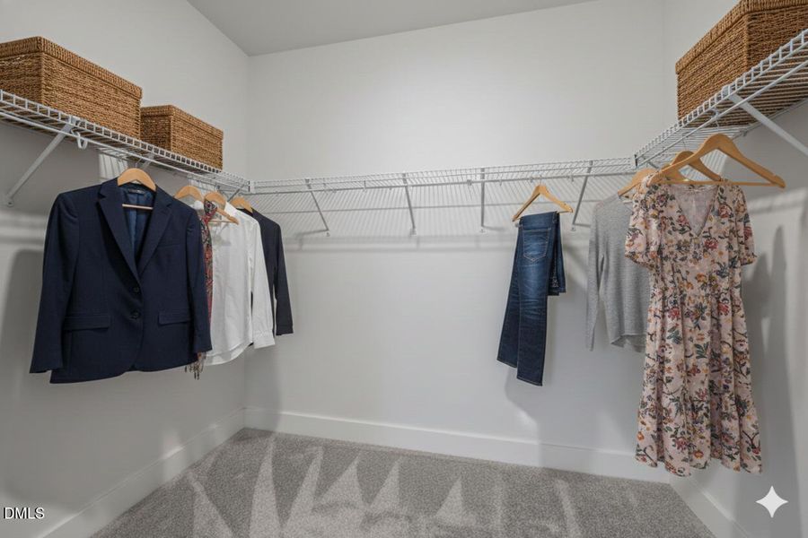 Owner's Closet #1 Owner's Closet #1