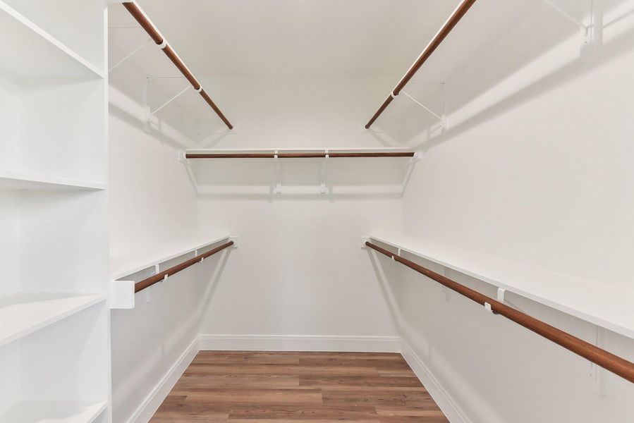 Primary spacious closet(s) featuring light wood-style floors
