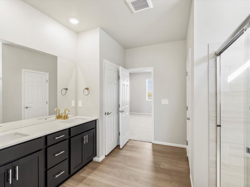 Furnished interior view inside a new home in Poudre Heights: The Alpine Collection, Windsor (Image 5).