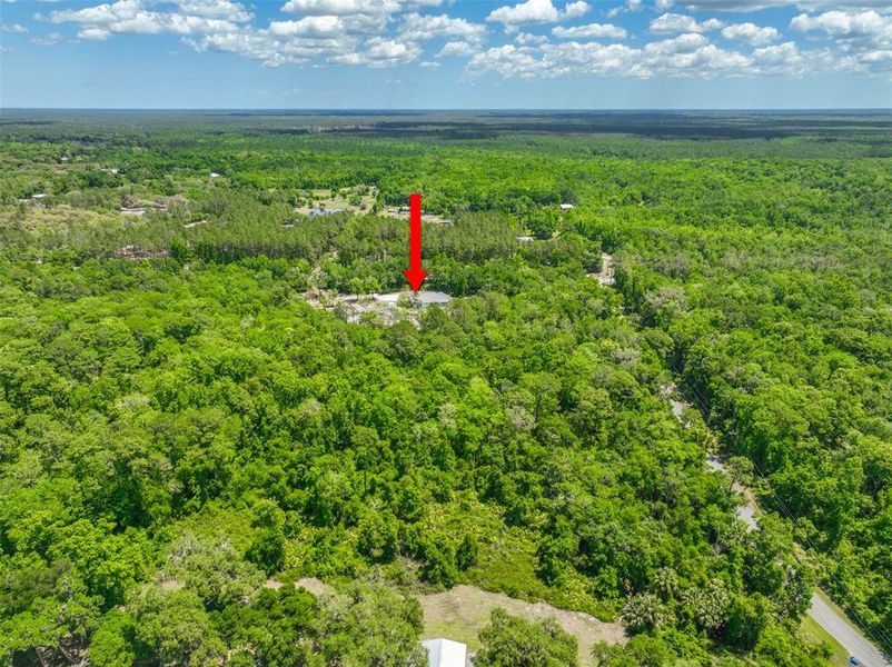 Natural landscape and outdoor views near  in Pierson (Image 39).
