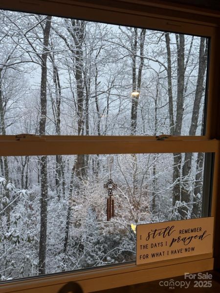 SNOW FLOCKED ON THE TREES OUTSIDE