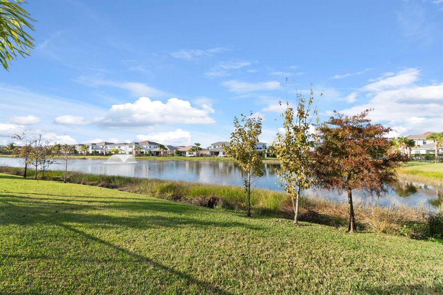 Lake View Lake View