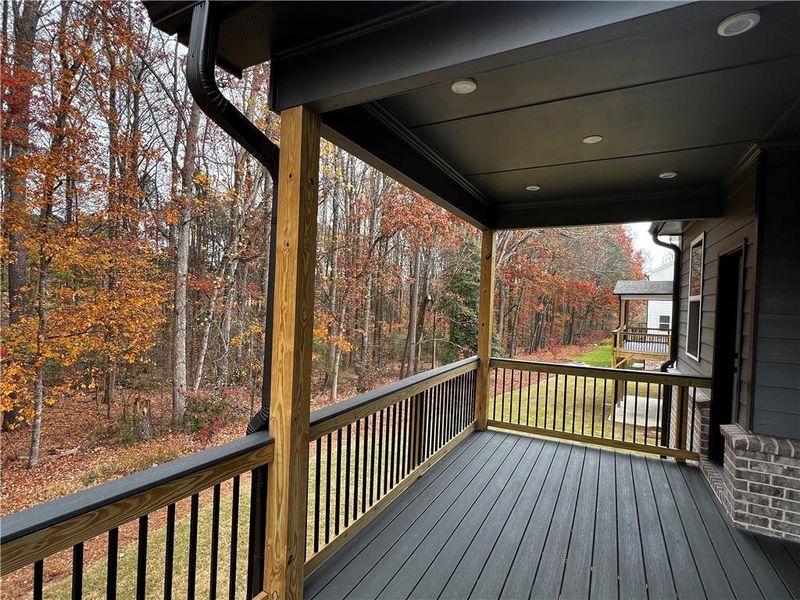 Exterior details and patio area of a home in The Paddocks at Doc Hughes, Buford (Image 24).