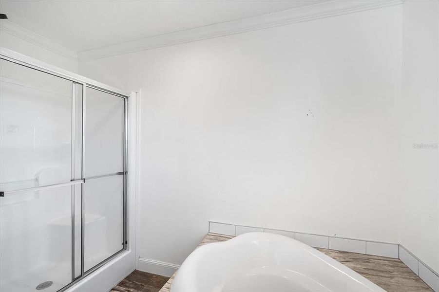 Spacious, unfurnished interior of a new home in , Wauchula (Image 18).