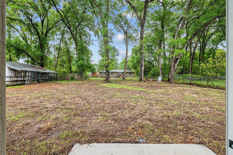 Natural landscape and outdoor views near in Belleview (Image 31). Natural landscape and outdoor views near in Belleview (Image 31).