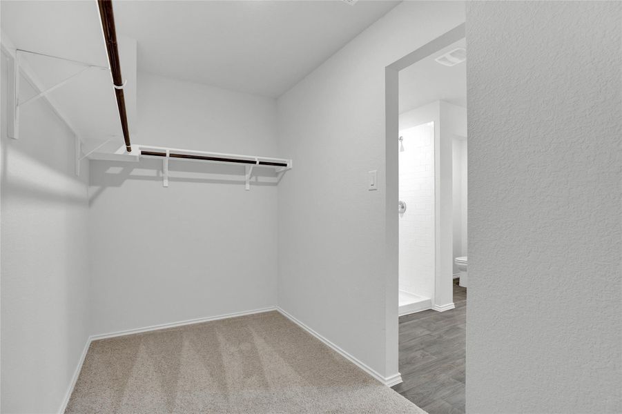 Spacious, unfurnished interior of a new home in Southgrove, Kyle (Image 16). Spacious, unfurnished interior of a new home in Southgrove, Kyle (Image 16).