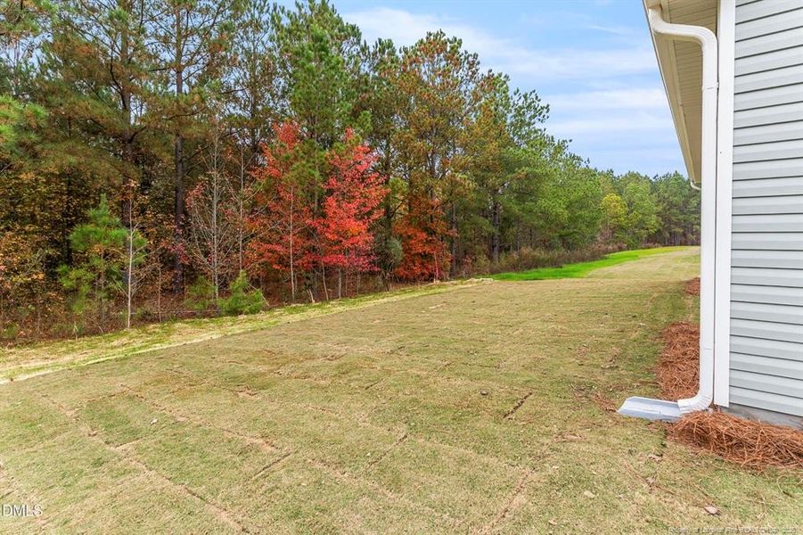 Beautiful Wooded Lot Beautiful Wooded Lot