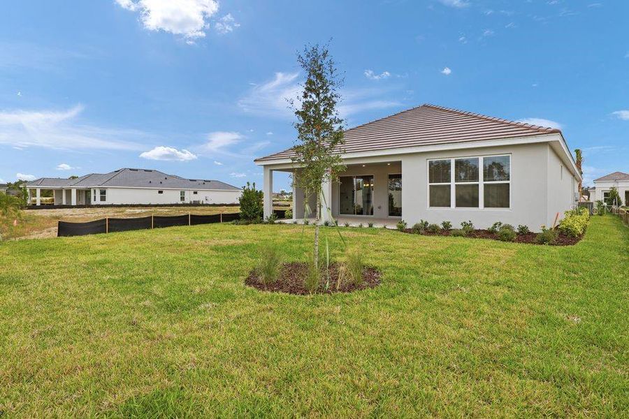 Exterior details and patio area of a home in Esplanade at Wiregrass Ranch, Wesley Chapel (Image 4).