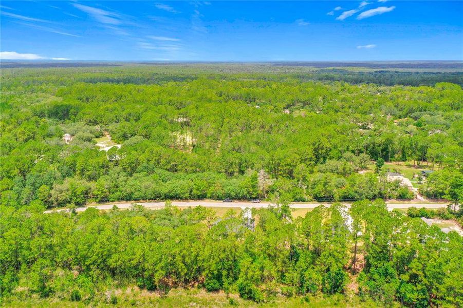 Natural landscape and outdoor views near in Eustis (Image 57). Natural landscape and outdoor views near in Eustis (Image 57).