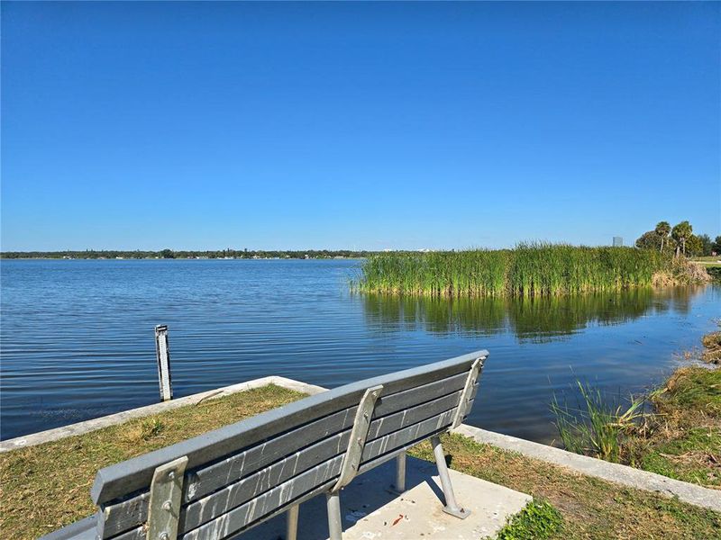 Natural landscape and outdoor views near in St. Petersburg (Image 39). Natural landscape and outdoor views near in St. Petersburg (Image 39).