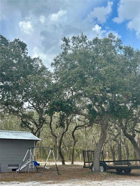 Natural landscape and outdoor views near  in Silver Springs (Image 20).