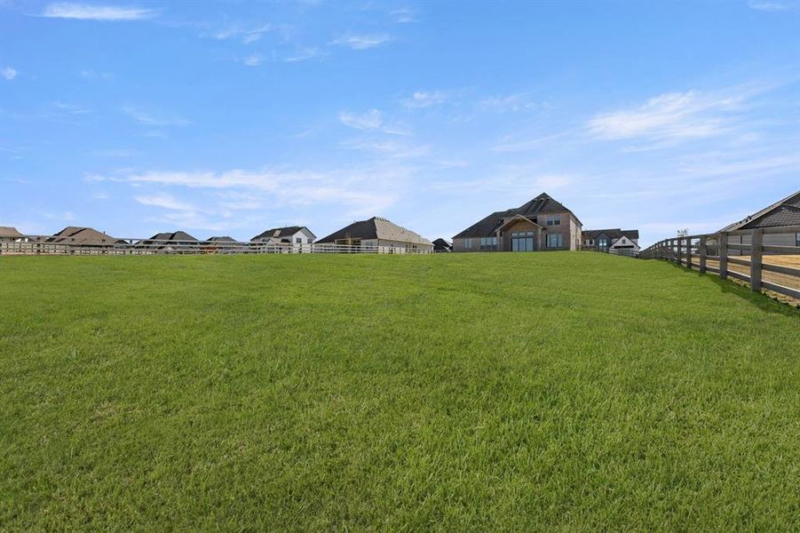 2604 Cayenne-Back-1 2604 Cayenne-Back-1