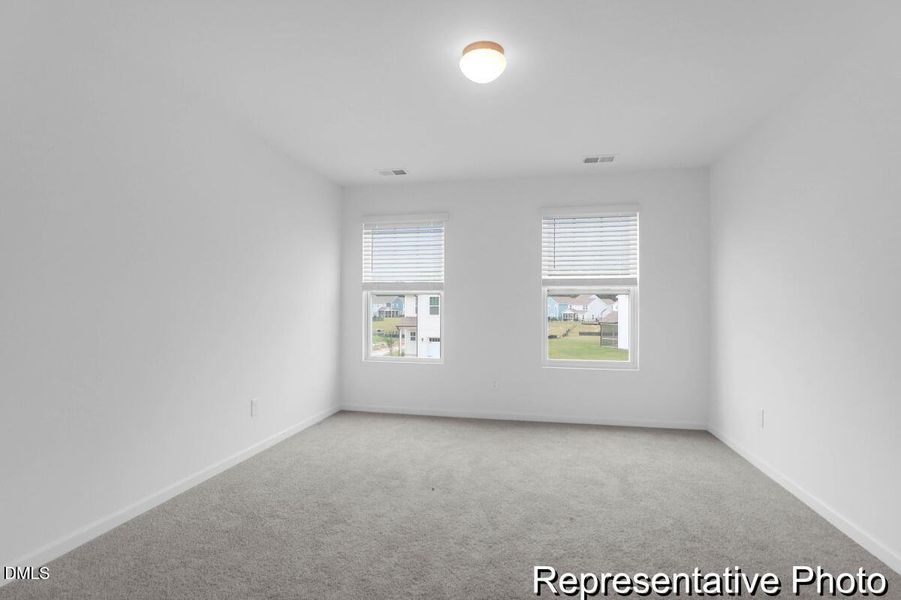 201 Surfbird -Tidalcreekphoto- (18)_REP 201 Surfbird -Tidalcreekphoto- (18)_REP