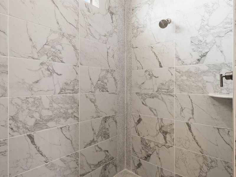 Detail of right side of primary's shower Detail of right side of primary's shower