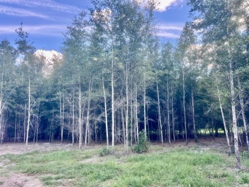 Image 32 of a home in . Image 32 of a home in .