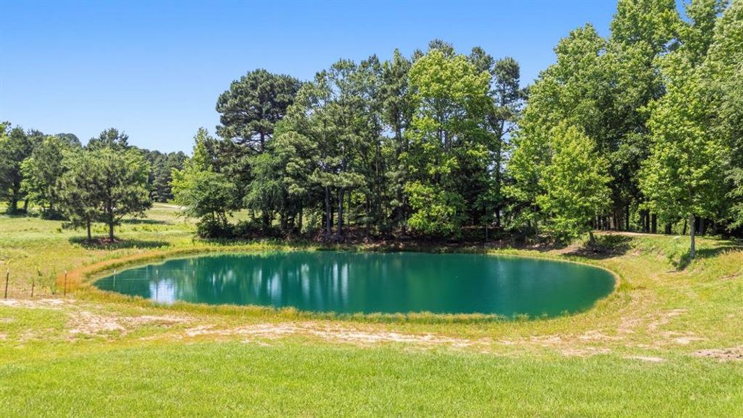 Natural landscape and outdoor views near  in Winona (Image 24).