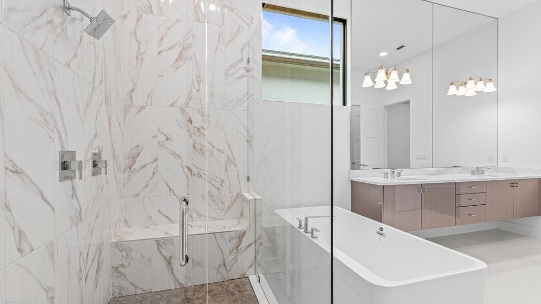 Owner's Bath