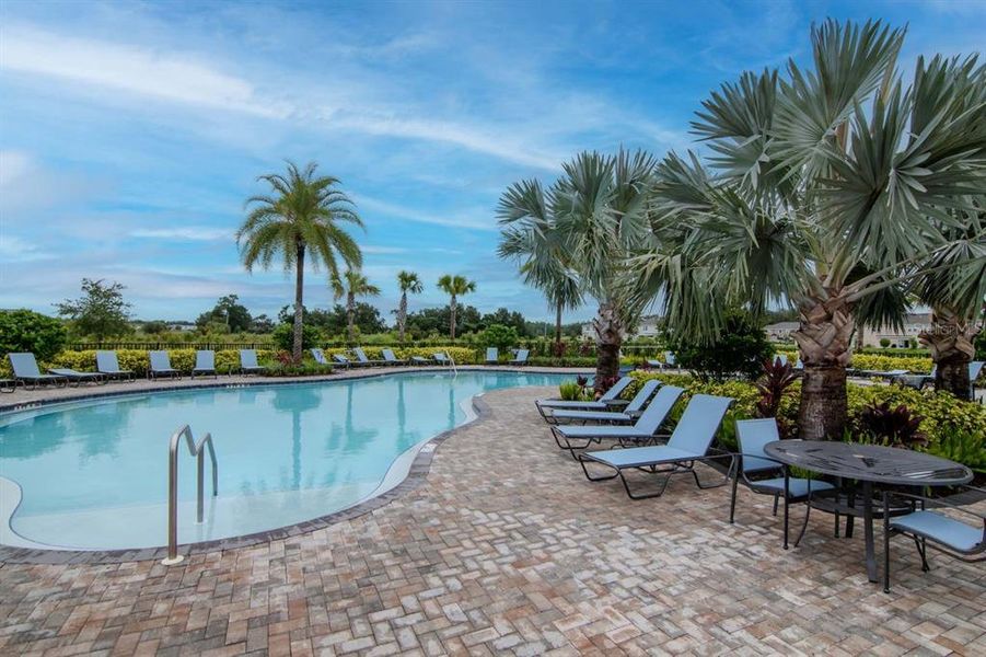 Community amenities in , Wesley Chapel (Image 34).