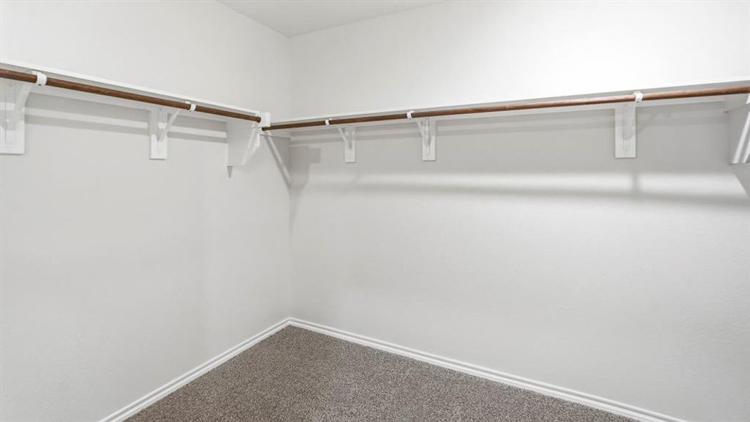 Walk in closet featuring dark carpet