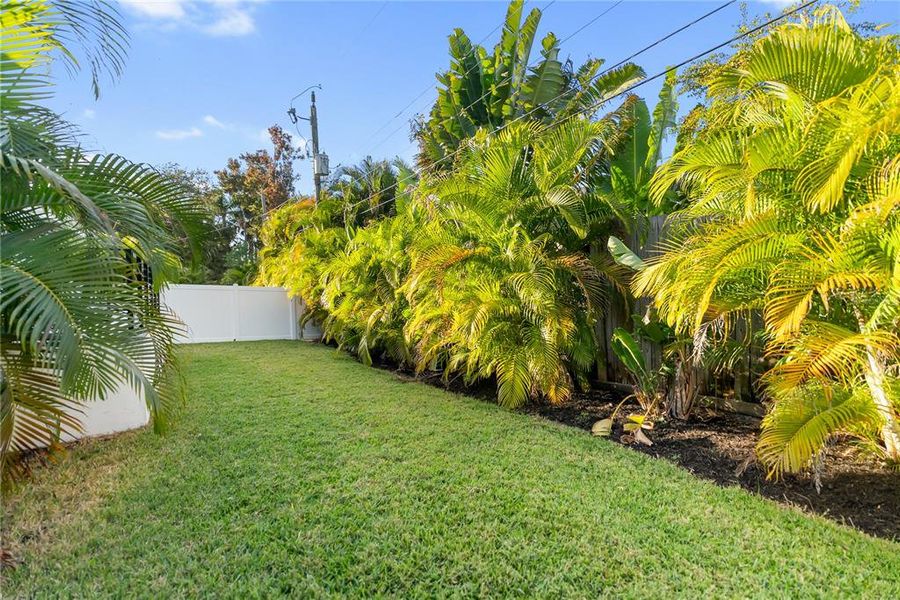 Natural landscape and outdoor views near  in Sarasota (Image 68).
